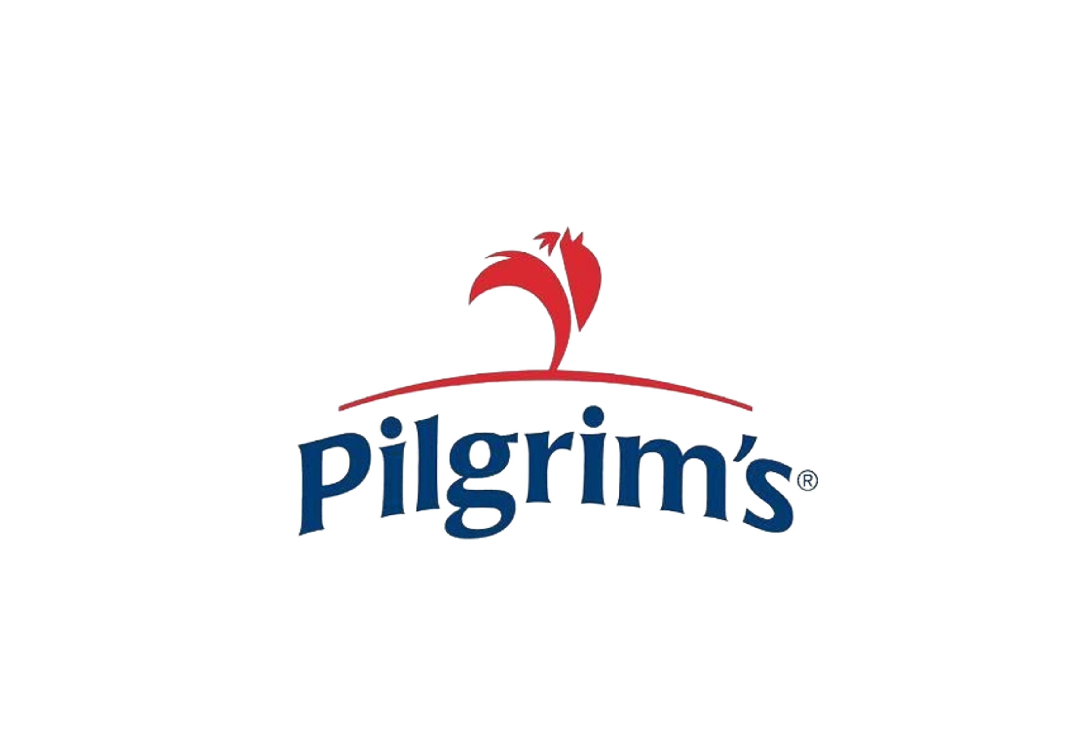 IMG-PILGRIMS
